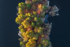 daniel-oberg-49CAJoYFmdg-unsplash