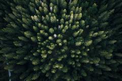 fabio-comparelli-JYjZDhUjaPU-unsplash