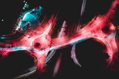 raphael-schaller-girwkupS11Q-unsplash